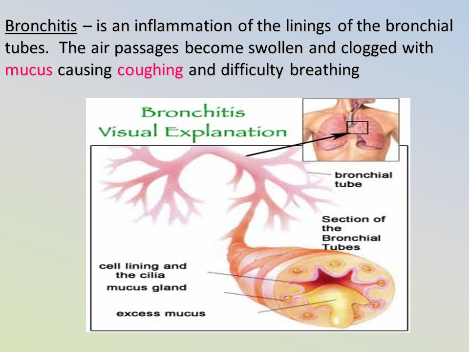 Bronchitis – is an inflammation of the linings of the bronchial tubes