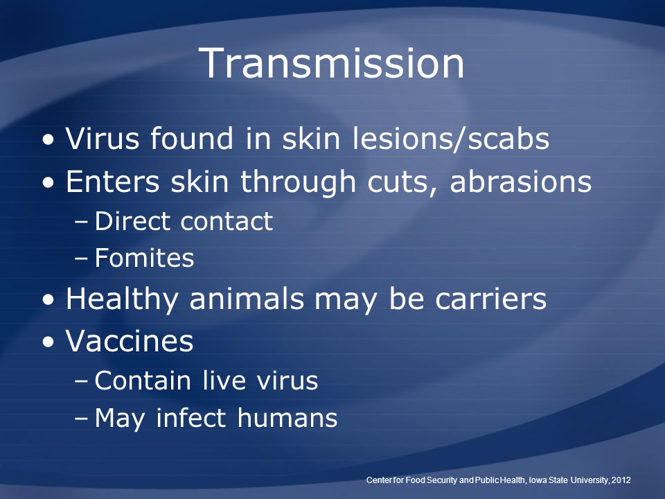 Transmission Virus found in skin lesions/scabs