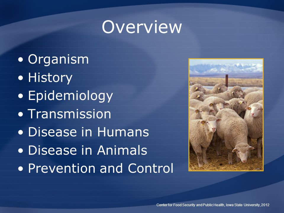 Overview Organism History Epidemiology Transmission Disease in Humans