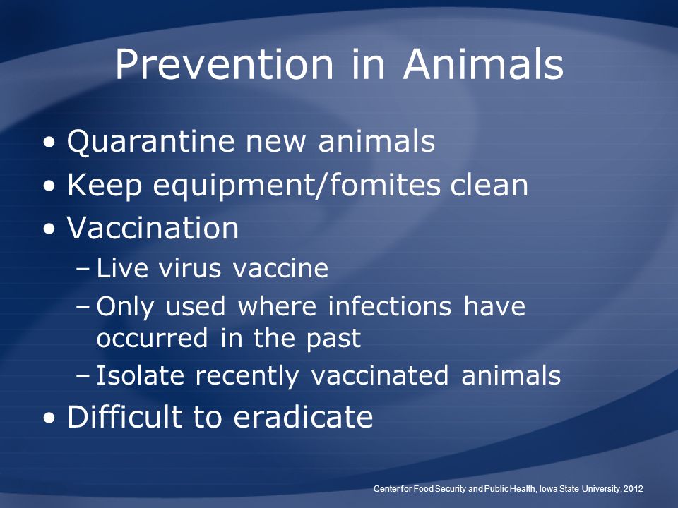 Prevention in Animals Quarantine new animals