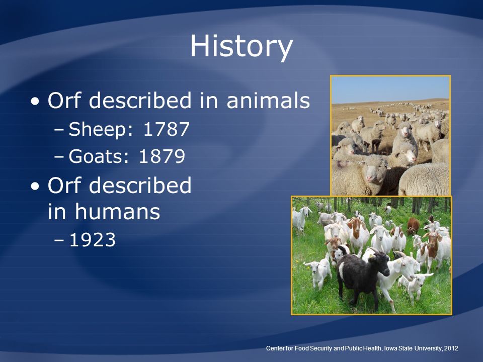 History Orf described in animals Orf described in humans Sheep: 1787