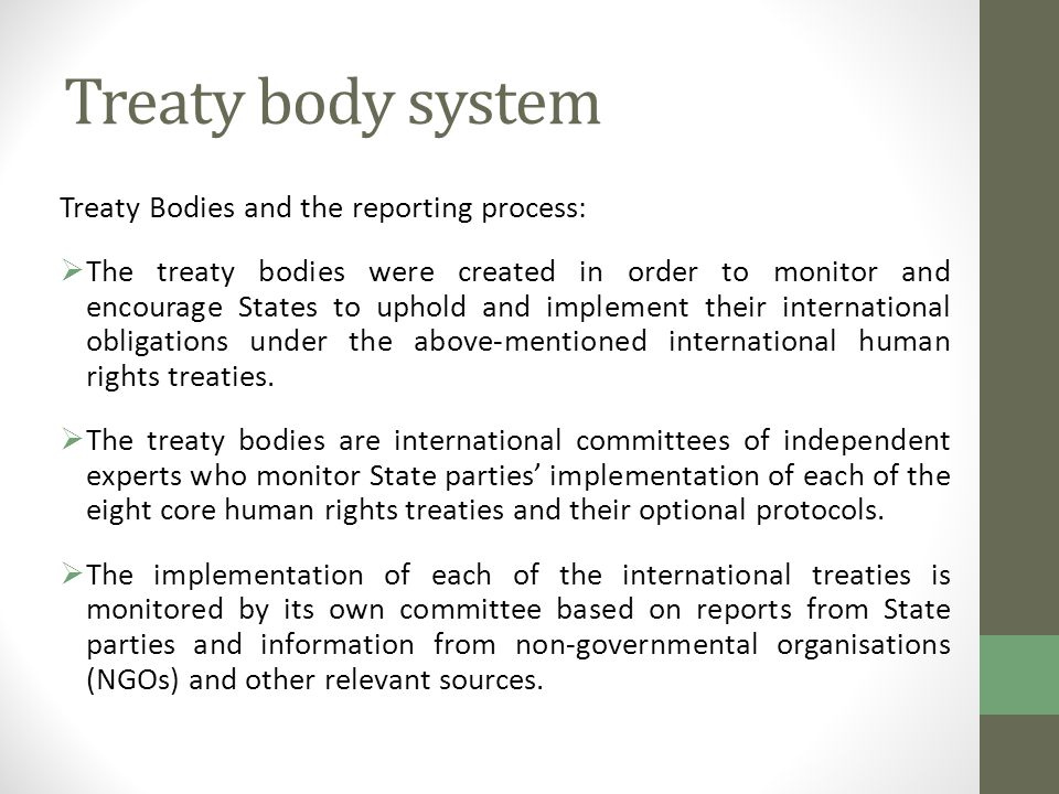 Treaty body system Treaty Bodies and the reporting process: