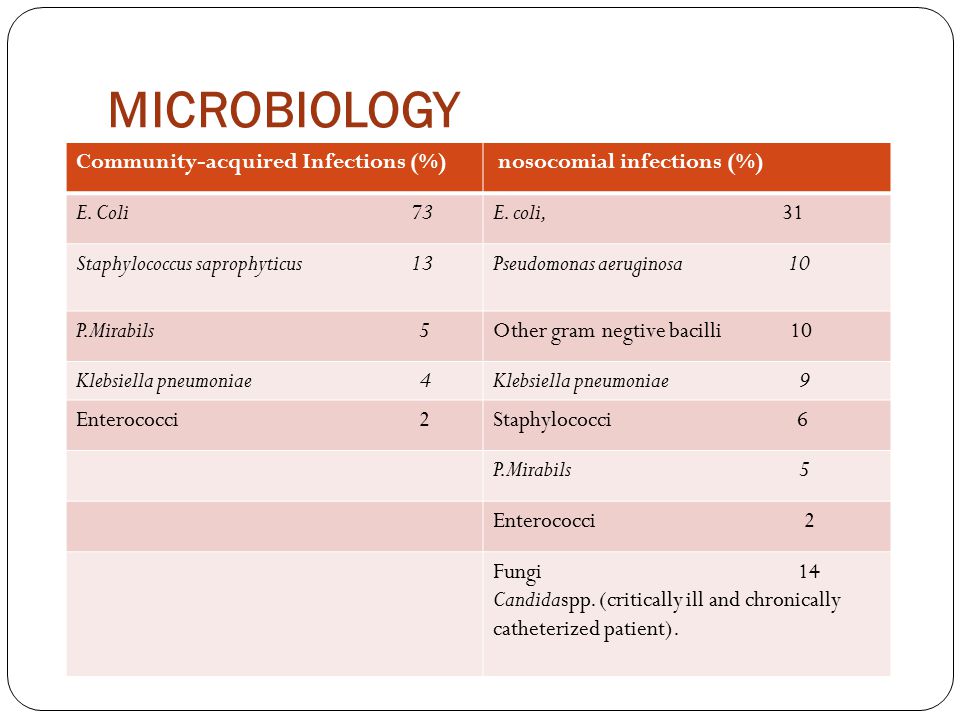 MICROBIOLOGY nosocomial infections (%)