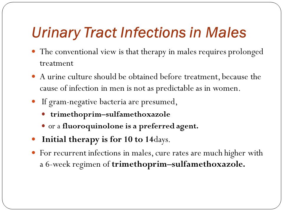 Urinary Tract Infections in Males