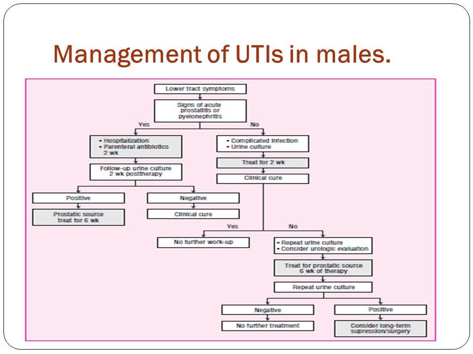 Management of UTIs in males.