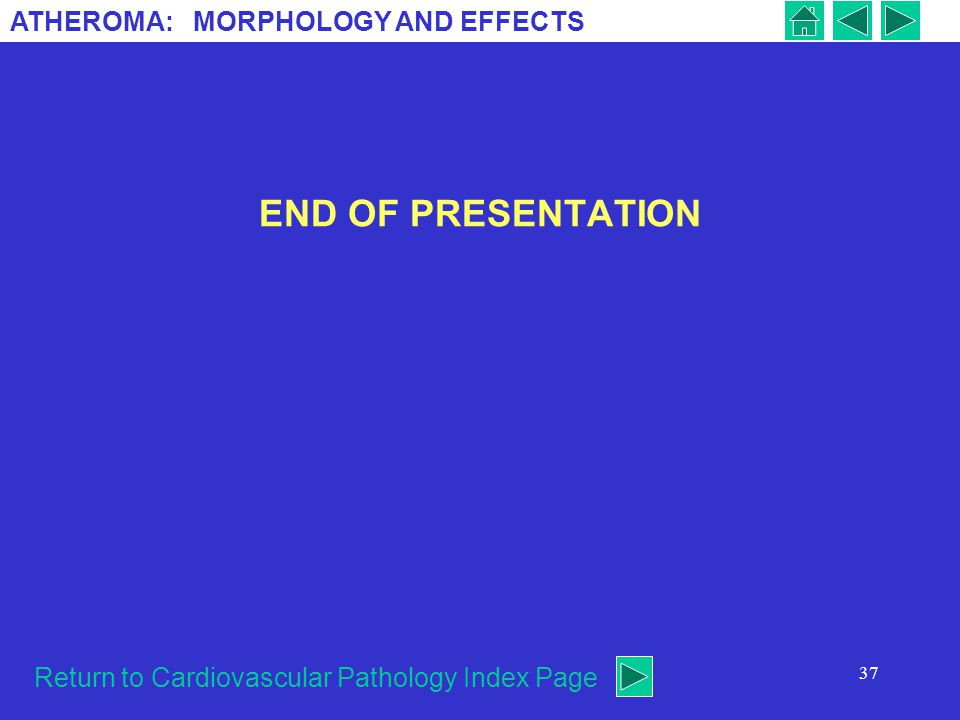 END OF PRESENTATION Return to Cardiovascular Pathology Index Page