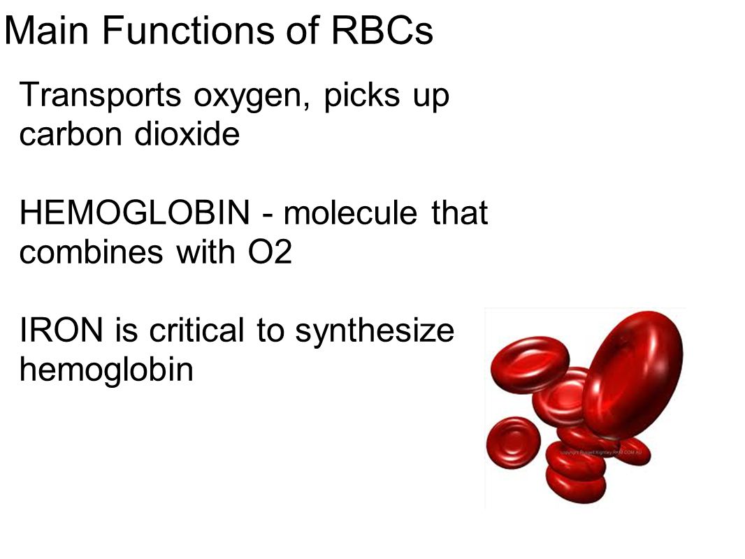 Main Functions of RBCs Transports oxygen, picks up carbon dioxide