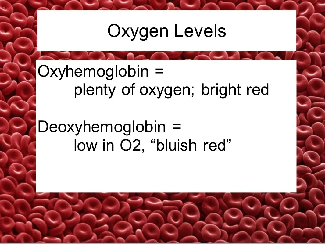 Oxygen Levels Oxyhemoglobin = plenty of oxygen; bright red