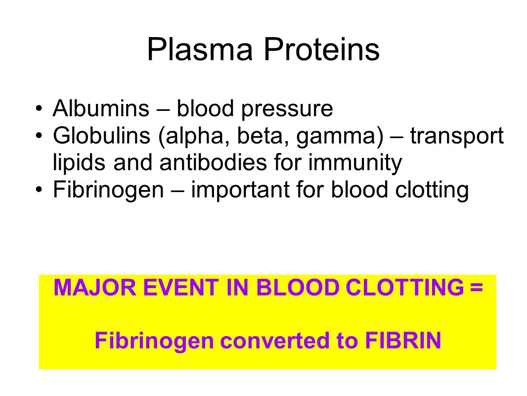 Fibrinogen converted to FIBRIN