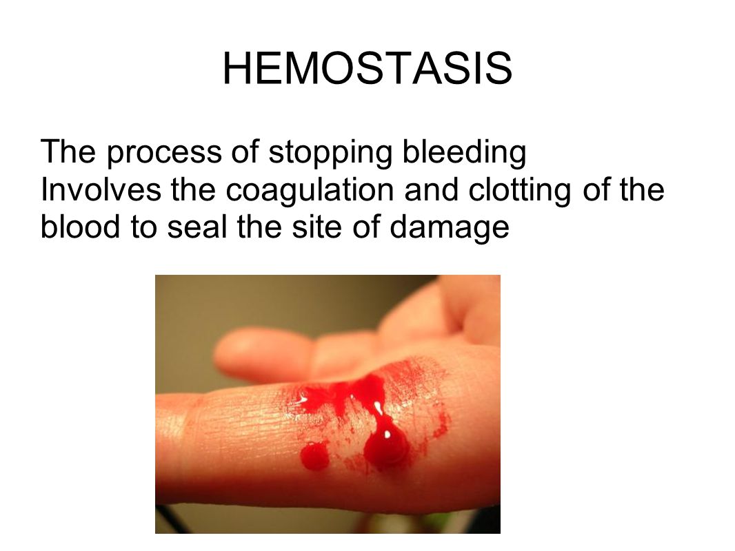 HEMOSTASIS The process of stopping bleeding