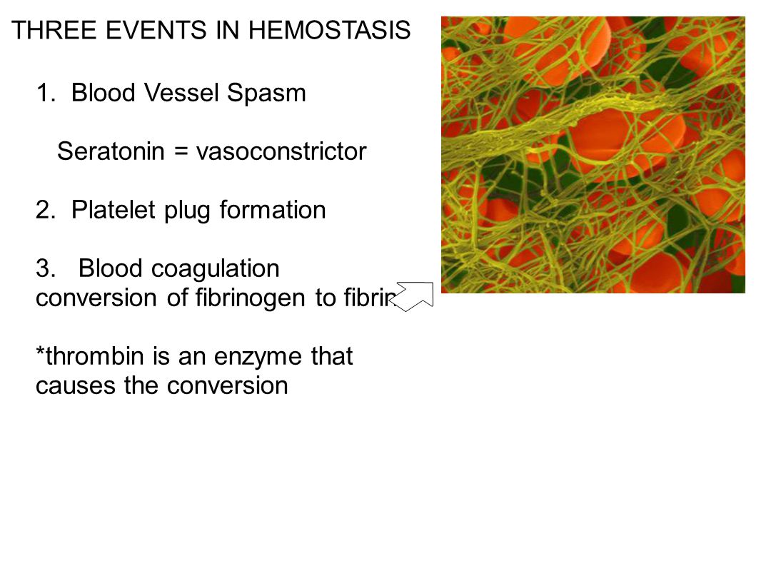THREE EVENTS IN HEMOSTASIS