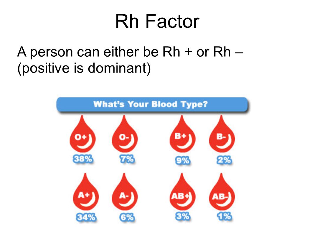 Rh Factor A person can either be Rh + or Rh – (positive is dominant)