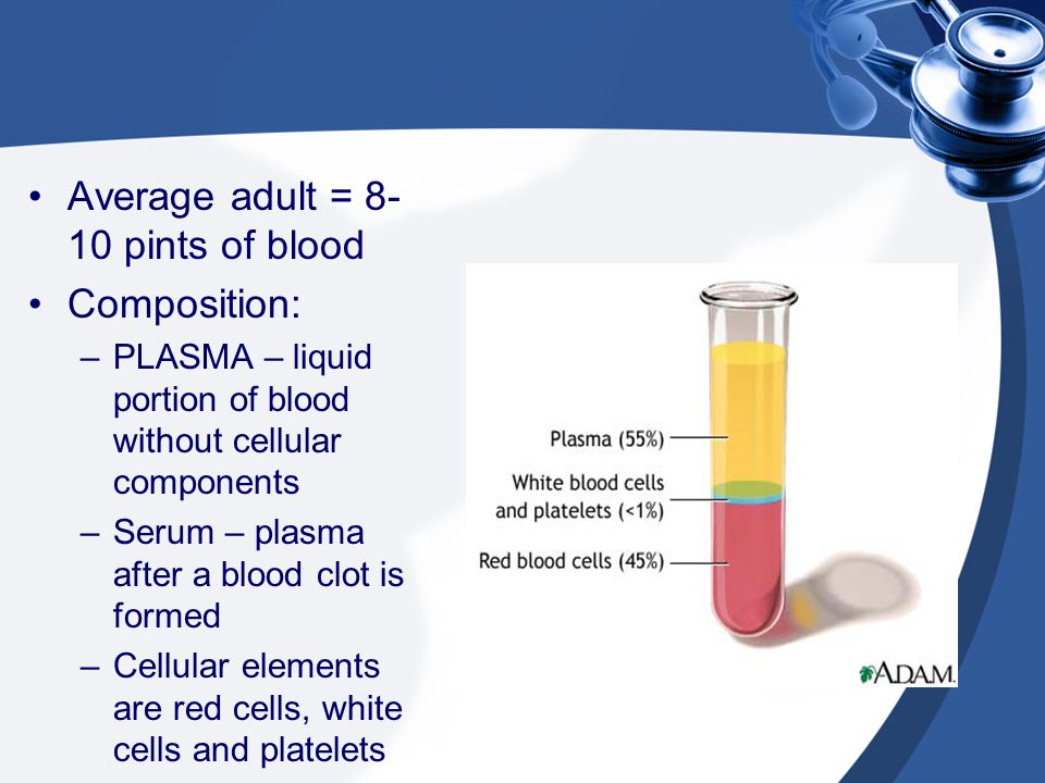 Average adult = 8-10 pints of blood Composition: