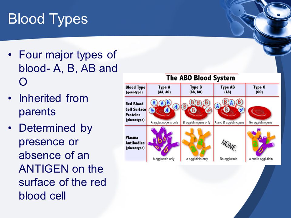 Blood Types Four major types of blood- A, B, AB and O
