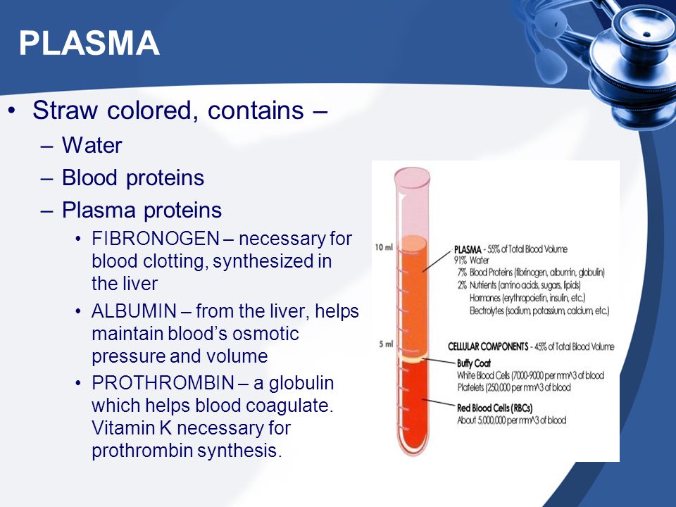 PLASMA Straw colored, contains – Water Blood proteins Plasma proteins