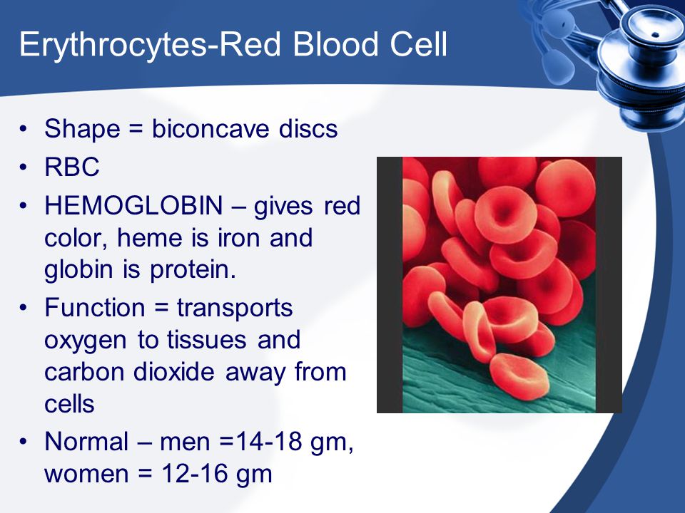 Erythrocytes-Red Blood Cell