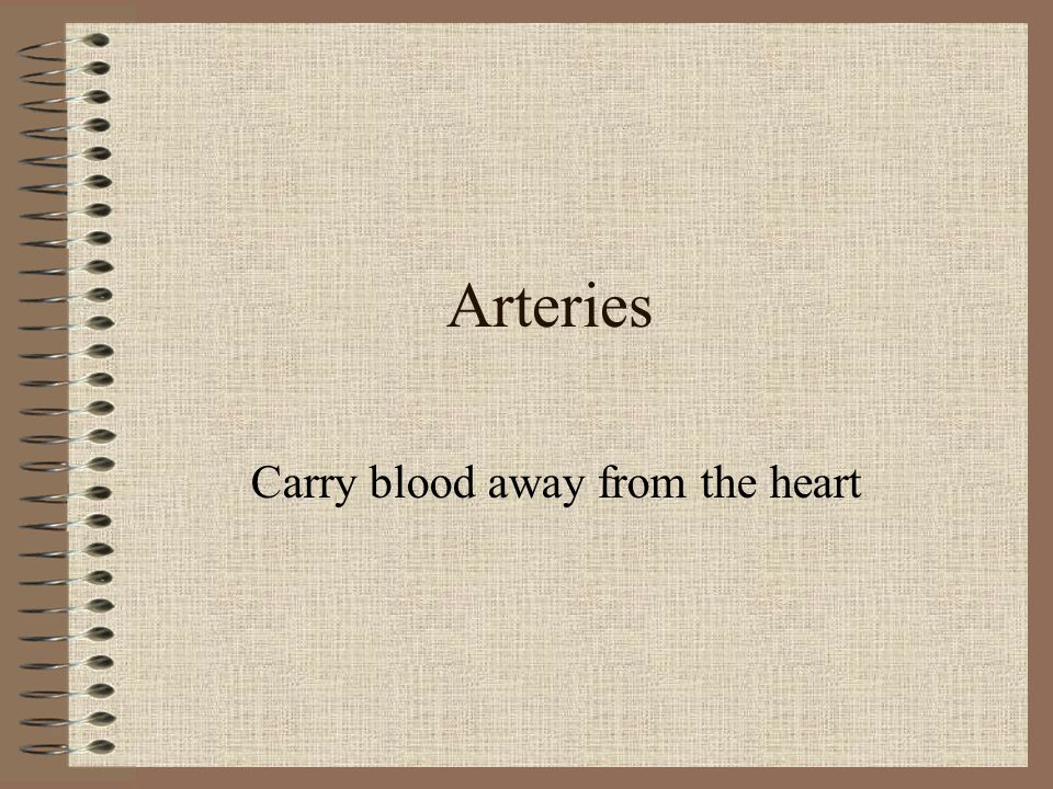 Carry blood away from the heart