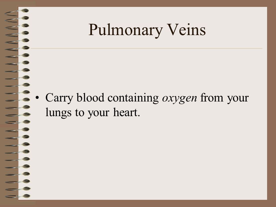 Pulmonary Veins Carry blood containing oxygen from your lungs to your heart.