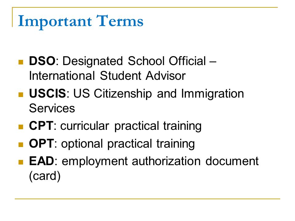 Important Terms DSO: Designated School Official – International Student Advisor. USCIS: US Citizenship and Immigration Services.