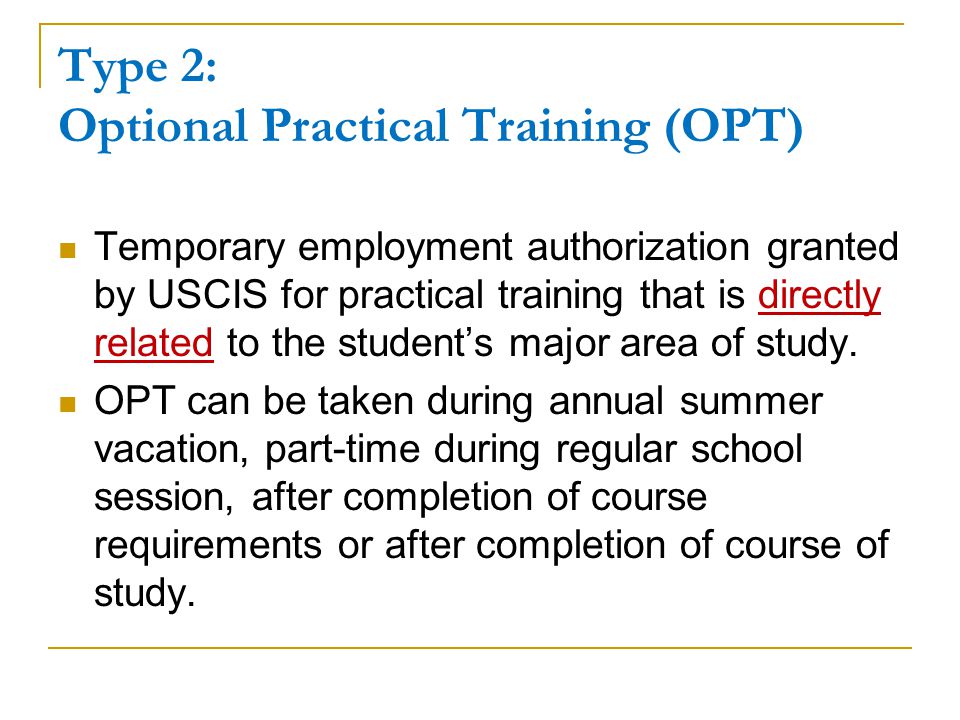 Type 2: Optional Practical Training (OPT)