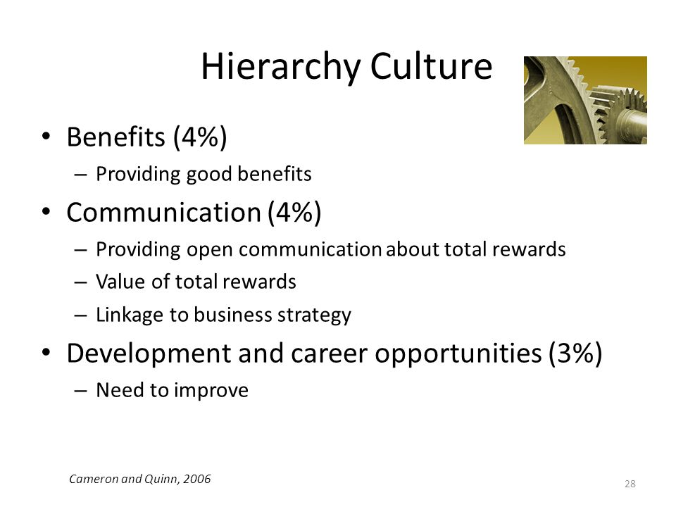 Hierarchy Culture Benefits (4%) Communication (4%)
