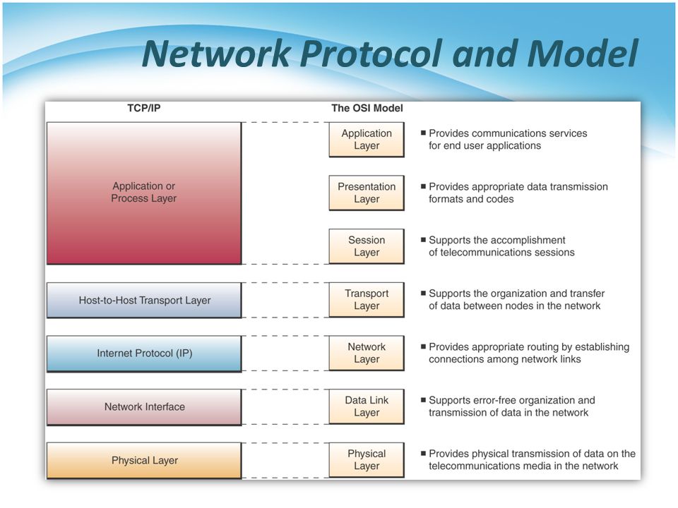 Network Protocol and Model