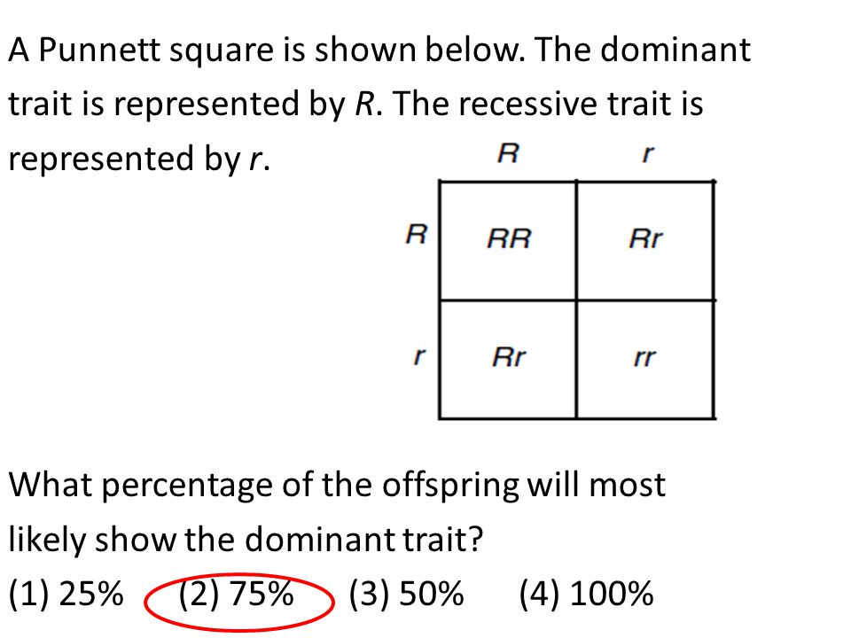 A Punnett square is shown below. The dominant trait is represented by R.