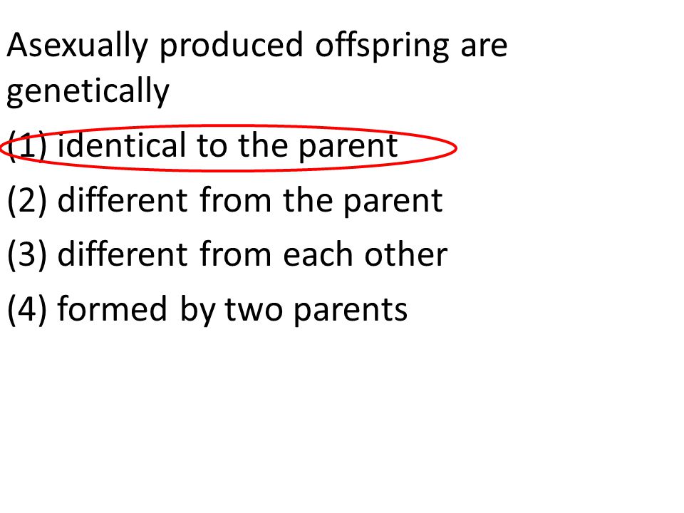 Asexually produced offspring are genetically (1) identical to the parent (2) different from the parent (3) different from each other (4) formed by two parents