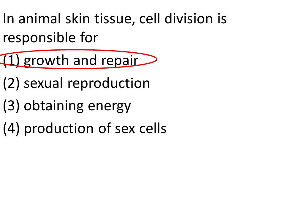 In animal skin tissue, cell division is responsible for (1) growth and repair (2) sexual reproduction (3) obtaining energy (4) production of sex cells