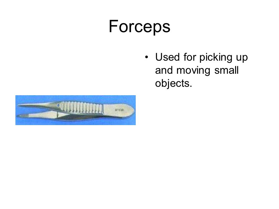 Forceps Used for picking up and moving small objects.