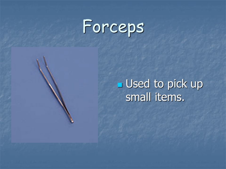 Forceps Used to pick up small items.