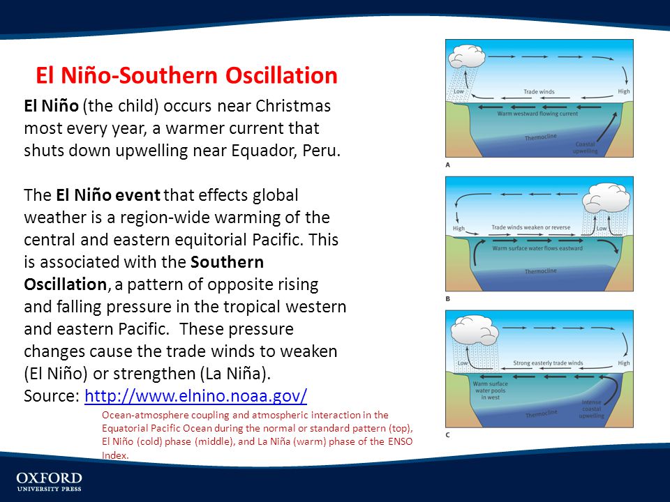 El Niño-Southern Oscillation