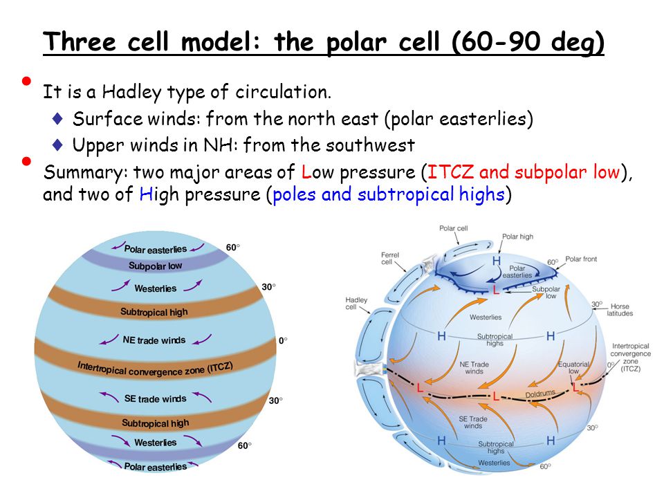 Three cell model: the polar cell (60-90 deg)