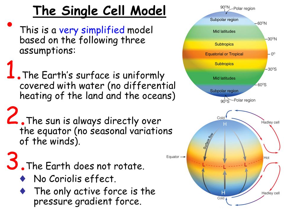 The Single Cell Model This is a very simplified model based on the following three assumptions: