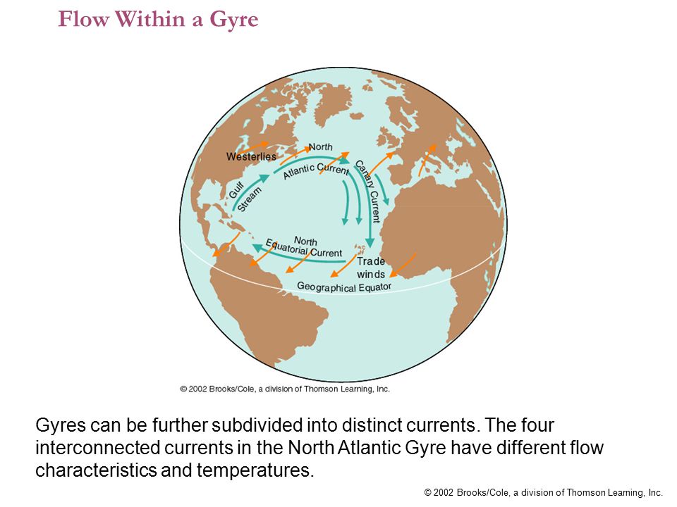 Flow Within a Gyre
