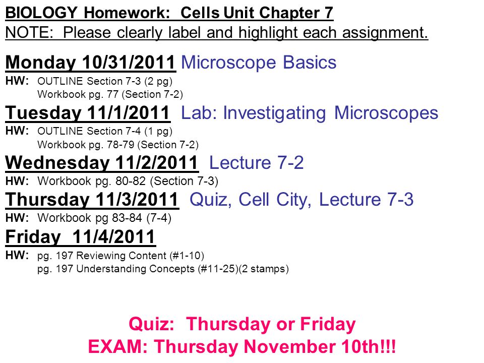 Quiz: Thursday or Friday EXAM: Thursday November 10th!!!