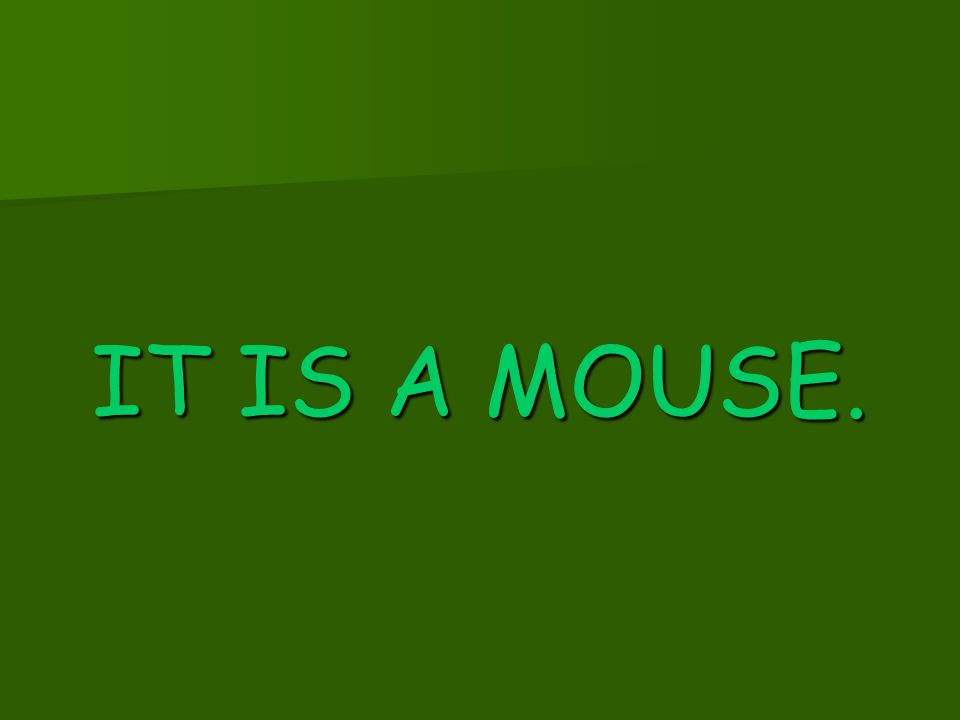 IT IS A MOUSE.