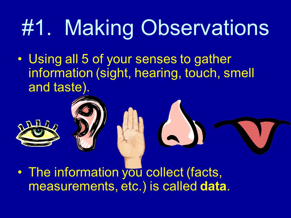 #1. Making Observations Using all 5 of your senses to gather information (sight, hearing, touch, smell and taste).
