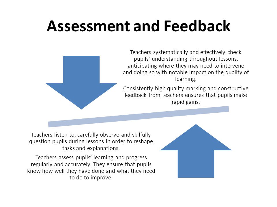 Assessment and Feedback