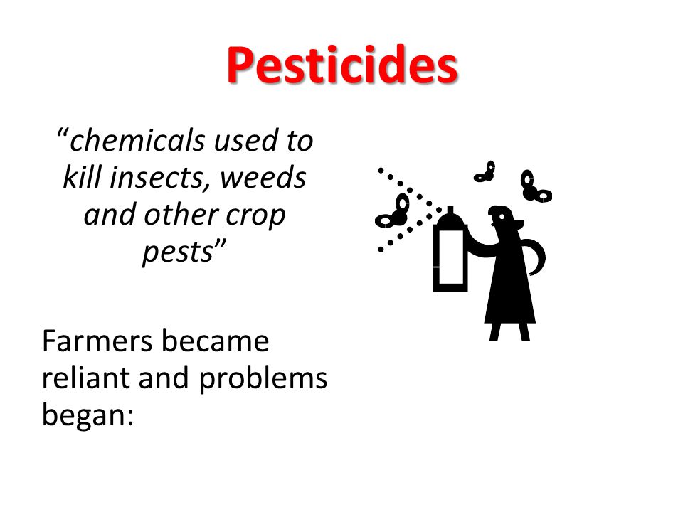 chemicals used to kill insects, weeds and other crop pests