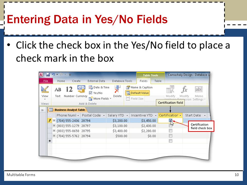Entering Data in Yes/No Fields