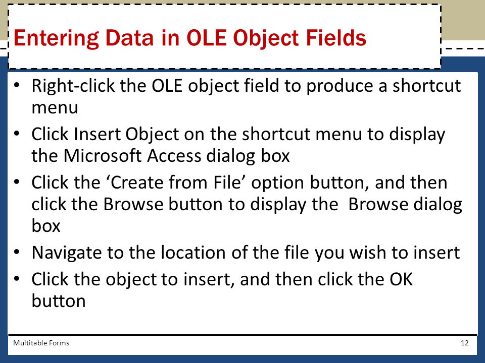 Entering Data in OLE Object Fields