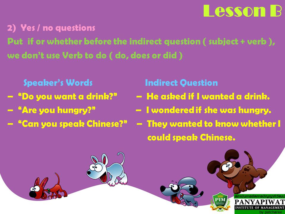 Lesson B 2) Yes / no questions