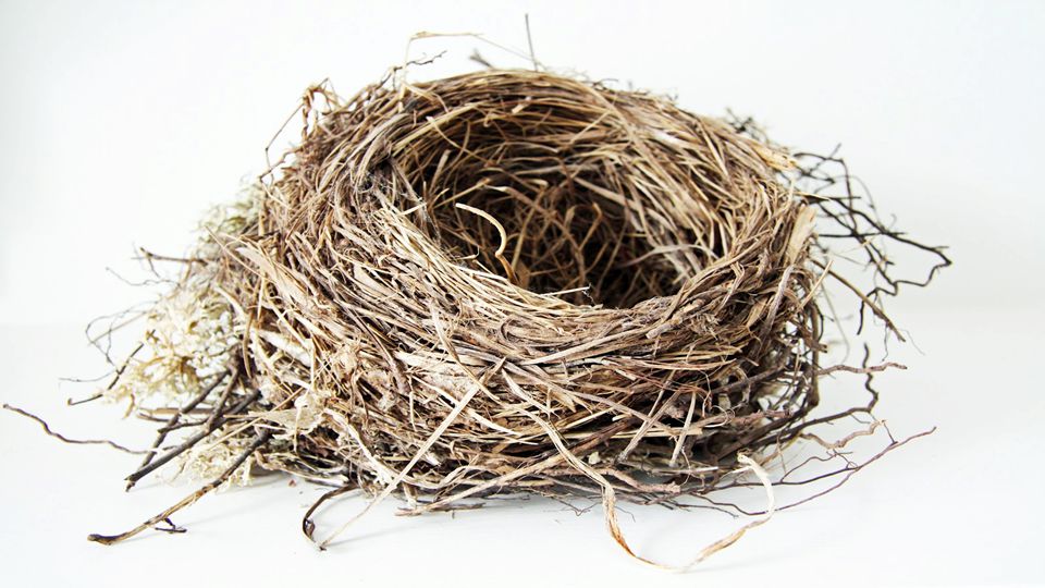 It is almost as if a nest needs to be prepared in our hearts to receive this revelation.