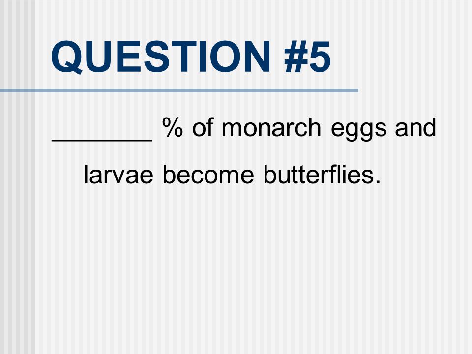 QUESTION #5 _______ % of monarch eggs and larvae become butterflies.