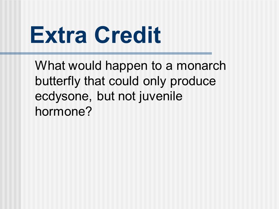 Extra Credit What would happen to a monarch butterfly that could only produce ecdysone, but not juvenile hormone