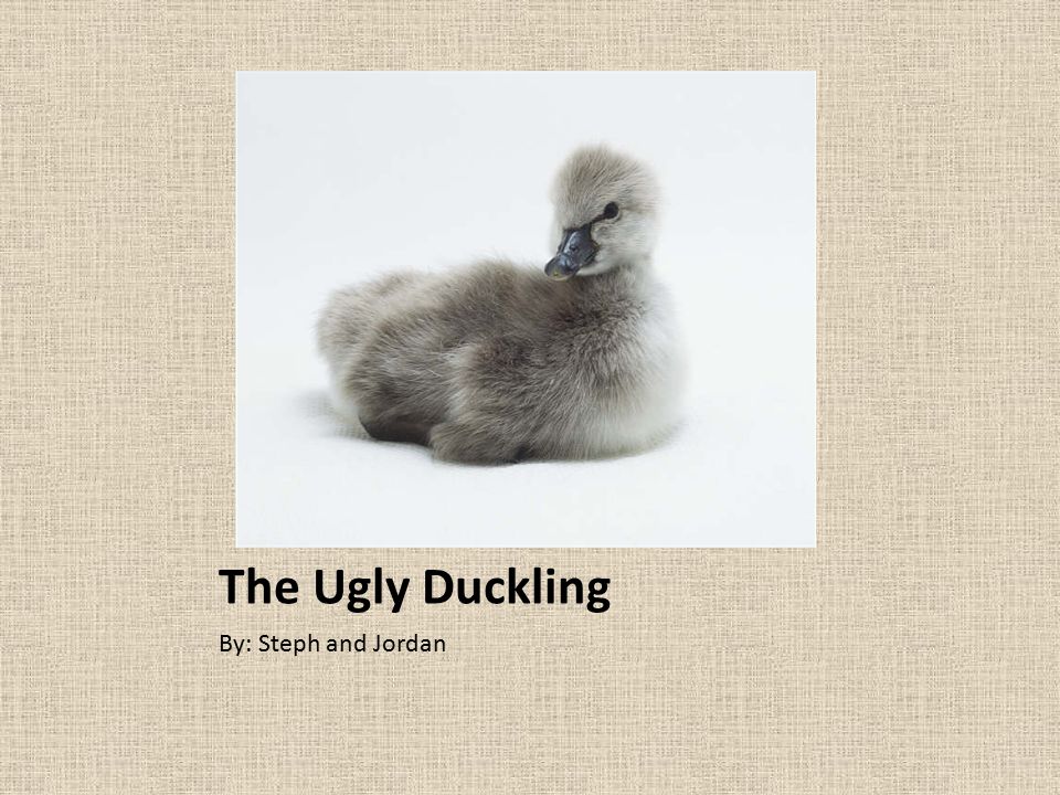 The Ugly Duckling By: Steph and Jordan