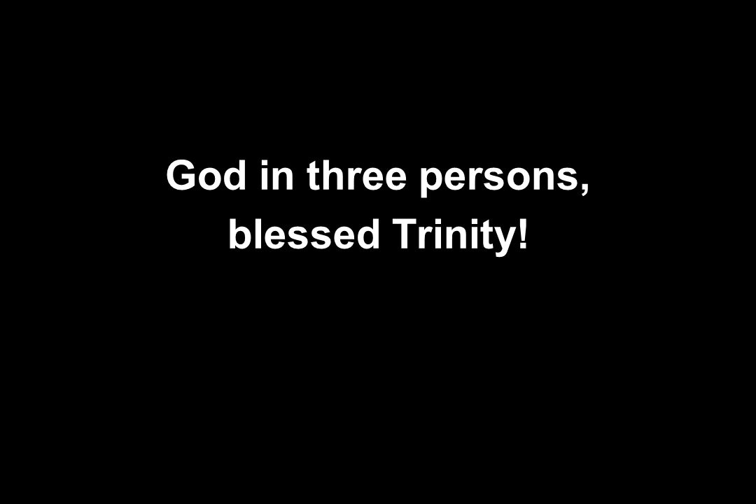 God in three persons, blessed Trinity!