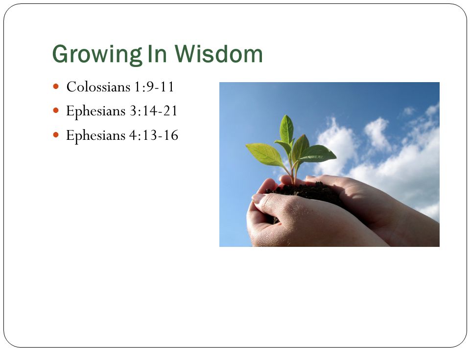 Growing In Wisdom Colossians 1:9-11 Ephesians 3:14-21