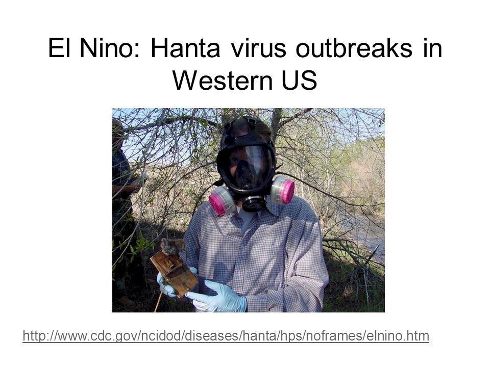 El Nino: Hanta virus outbreaks in Western US